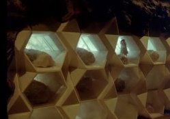 Ovions live on Solient Green.