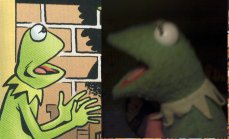 kermit_compare