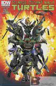 Teenage Mutant Ninja Turtles #19