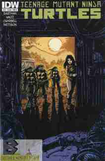 Teenage Mutant Ninja Turtles #29