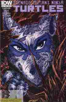 Teenage Mutant Ninja Turtles #30