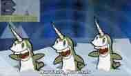 Morning Video Link: That Darn Narwhal&nbsp;Song!