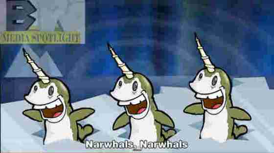 narwhals