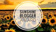 Answering The Sunshine Blogger Challenge&nbsp;(Mostly)